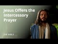 Luke 22 Jesus Warns Peter And Offers The Intercessory Prayer The Bible