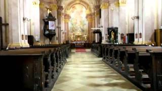 preview picture of video 'Mária Magdolna Római Katolikus Templom, Zalaegerszeg - E.Stonebox'
