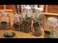 Marijuana strain-guide for beginners