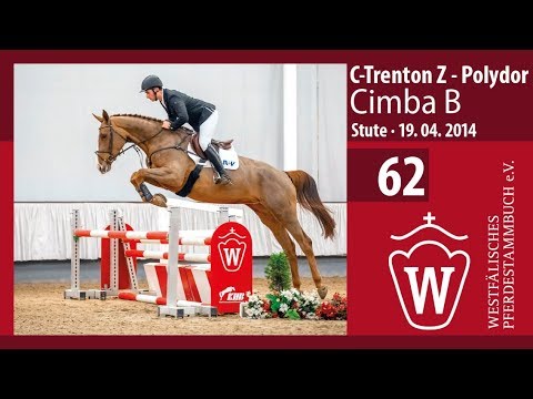 62 Cimba B Stute v. C-Trenton Z - Polydor