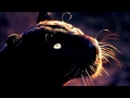 Cat Power - Cherokee (Nicolas Jaar Remix) 