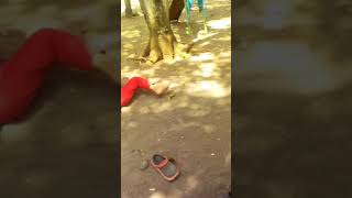 Download lagu Arema vs bonek mp3 Download lagu Arema vs bonek mp3