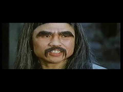 Drunken Master Strikes Back