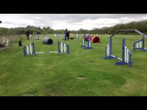 Daniel og Neo den 4-5-2014