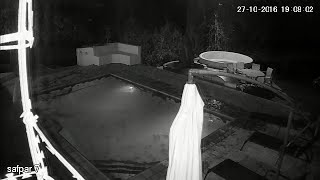 Crocodile Attacks Couple in Private Swimming Pool - CCTV Original