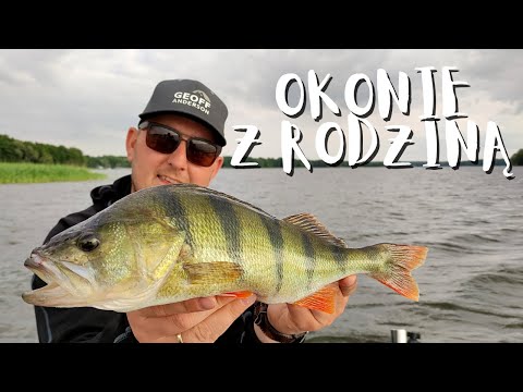 Rodzinne okoniowanie // Jak łowię okonie latem? // #17