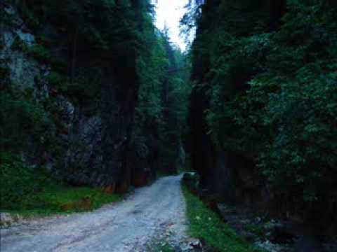 Veta Biris - Sus sus sus, la munte sus