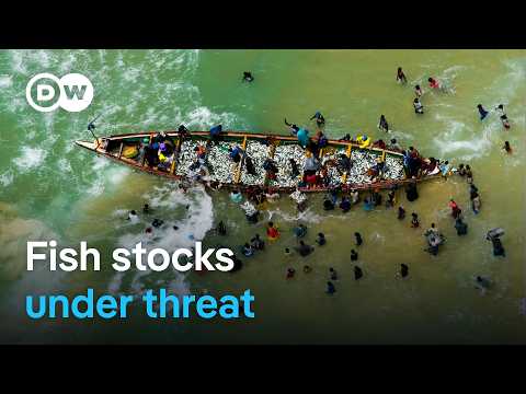 Raid on the Atlantic: Overfishing and Exploitation of the Sea