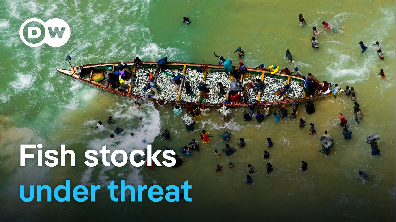 Raid on the Atlantic: Overfishing and Exploitation of the Sea