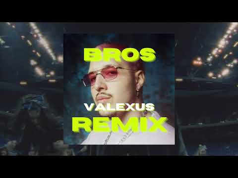 Rin - Bros (Valexus Remix)