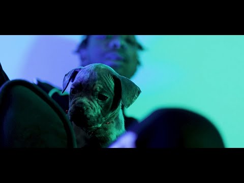 Driveway Baby - Miles Bridges (Official Video) #ShotBy0Degrees