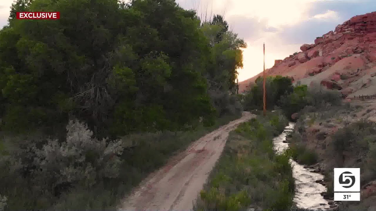 YouTube Thumbnail Downloader FULL HQ IMAGE