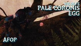 Exquisite Pale Coronis Egg location • Avatar: Frontiers of Pandora