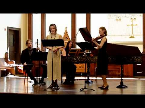 Case Western Reserve -- Favus distillans (Merula)