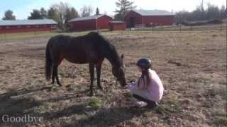 Let's Go Back To The Start.  Goodbye Abby.