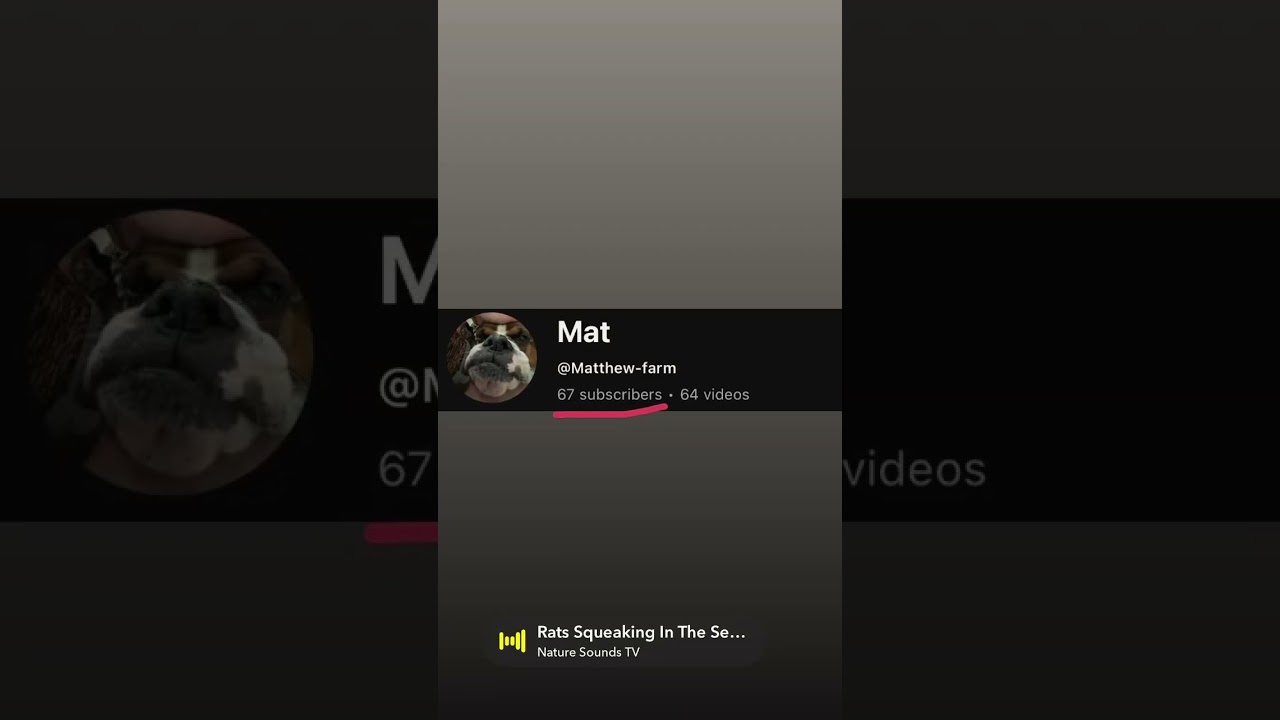 Epic Milestone Achieved!