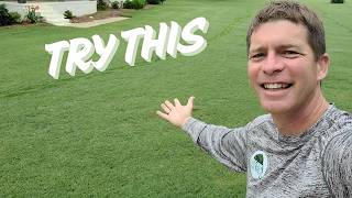 Lawn Care Tips - 4 Steps to a GREAT Lawn!