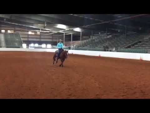 2017 - Madison Gustin - Schooling