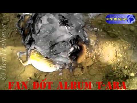 T-ara bulling Hwayoung