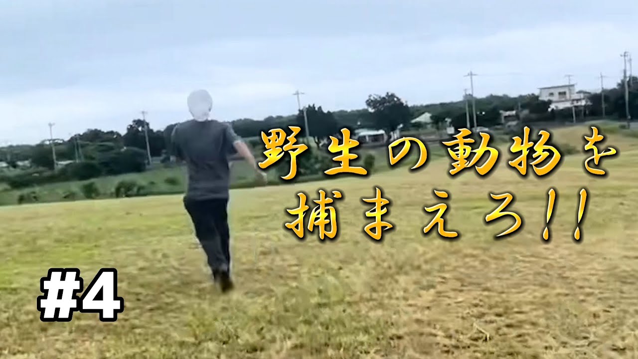 【ガチサバイバル】野生の動物を捕らえろ!!ガチダッシュした先に捉えた動物の貫禄がエグい。