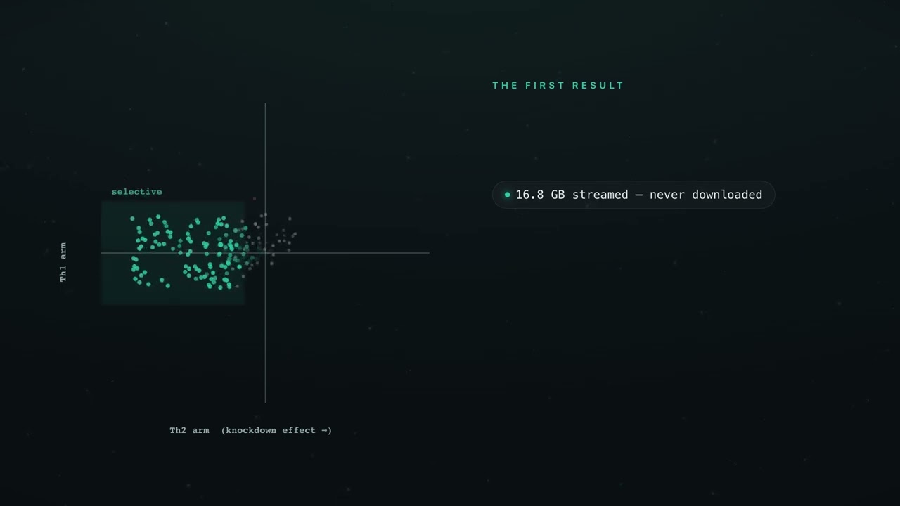 Selective Th2 project preview