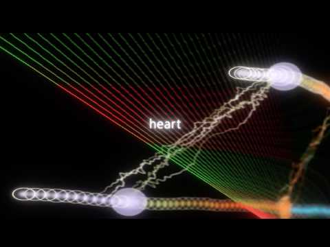 Video thumbnail for Heartbeat