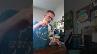 Snow Flurry strain review