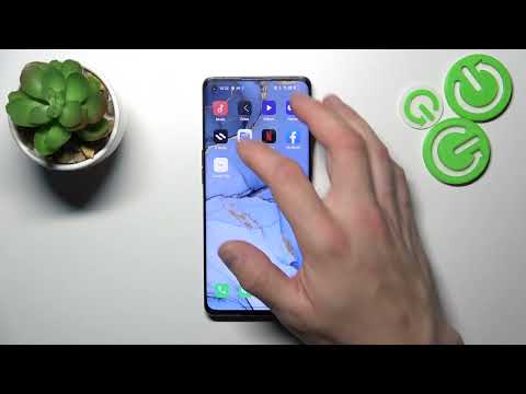 How to Manage Google Wallet in Oppo Find X2 Neo?