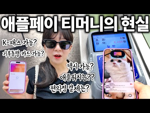 애플페이 티머니의 현실 알려드림..