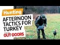 Afternoon Tactics For Turkey