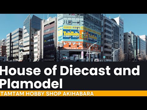 Tamtam Akihabara Japan Hobby Shop in Tokyo, best place for hunting Plamodel, diecast and Gundam?