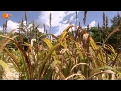 Das Wissen fremder Völker Doku deutsch