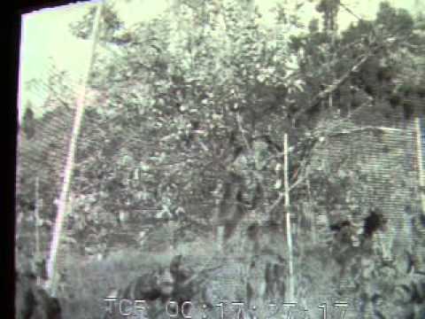 José Cid - Vida (Sons do Quotidiano) - (excerto)