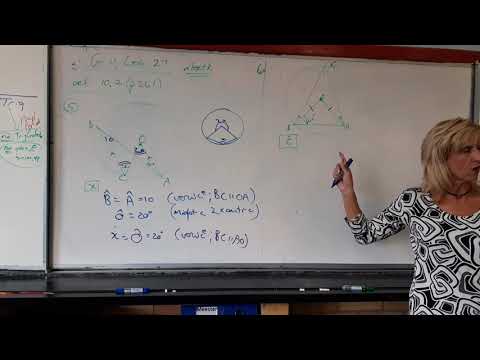 Allies Wiskunde 2021 Graad 11 Les 27