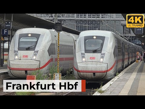 Frankfurt(Main)Hbf 09.08.2025 - Morgenverkehr mit zahlreichen ICE- & Regionalzügen am Hauptbahnhof