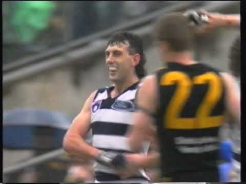AFL 1995 Preliminary Final Geelong Richmond John Barnes Waverley Park