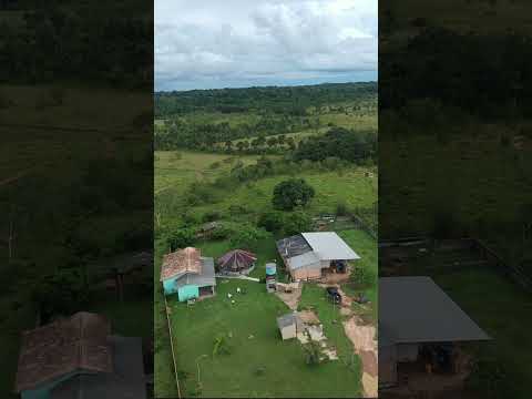 Fazenda em Roraima, no Alto Alegre de 2330 hectares tá pedindo 12 mil por hectares