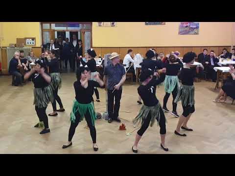 Hasičský Ples Ostřetín 2019 vystoupení hasiček SDH Břehy 2