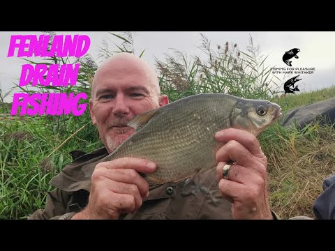 fenland drain fishing Norfolk : Crabs and Skimmers
