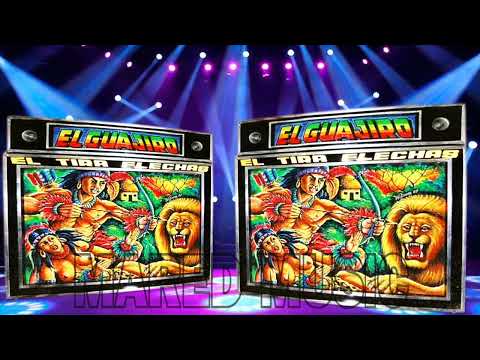 LOS PALITOS - EXITO PICOTERO