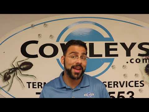 Tips for Businesses to Prevent Stored Product Pests