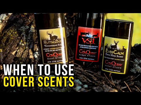 How To Use Cover Scents and Attractants When Hunting