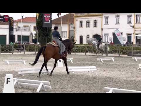 CNET - Expo Égua - Nicole e Hábil - prova ensino