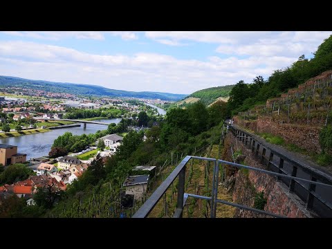 Unterwegs auf dem Kulturweg Klingenberg am Main der Sonnenweg  Aussichtsweg durch die Weinberge