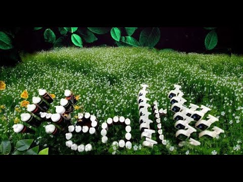 The answer to using less chemicals in the cleaning Industry