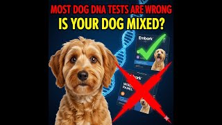 ✅ Top 5 Dog DNA Testing Kits 2026 – Don’t Waste Your Money