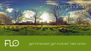 005 - Metropolitan Wildlife Haven