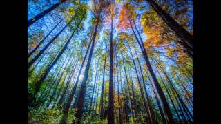 Tigerskin - This Place Is Empty Without You (Original Mix)