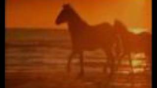 Bob Seger - Against The Wind