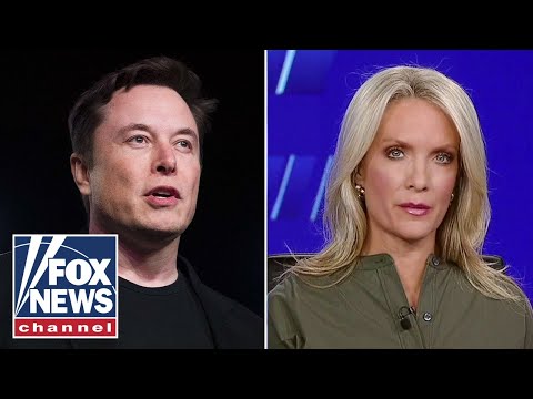 ‘The Five’ rip liberals for attacking Elon Musk over free speech push